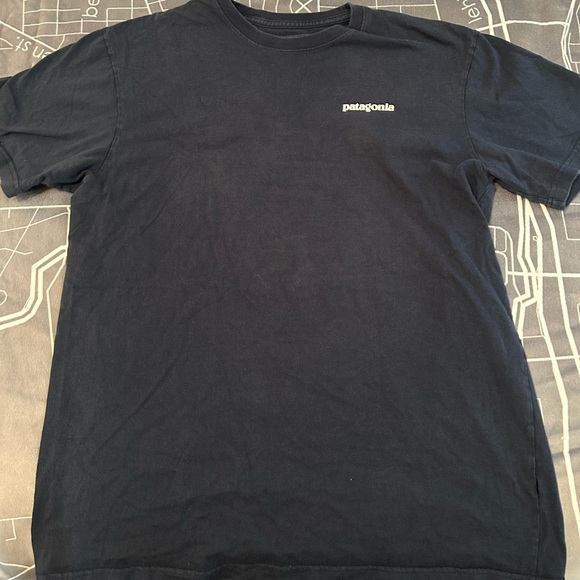 Other - Men’s Navy Patagonia Tshirt, Medium